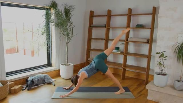 Center - Day 15 - Reset смотреть онлайн