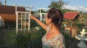 Увеличила стационарные шпалеры для винограда