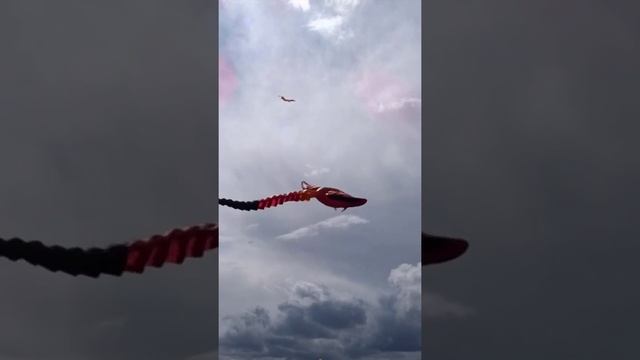 Пёстрое небо. Фестиваль смотреть онлайн