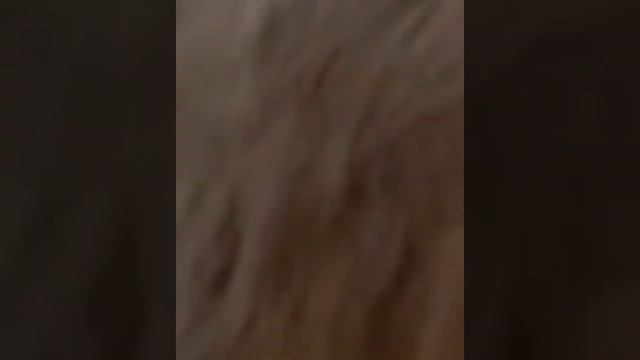 Двойник Абдурозик появился в Таджикистане // новый звезда инстаграм смотреть онлайн