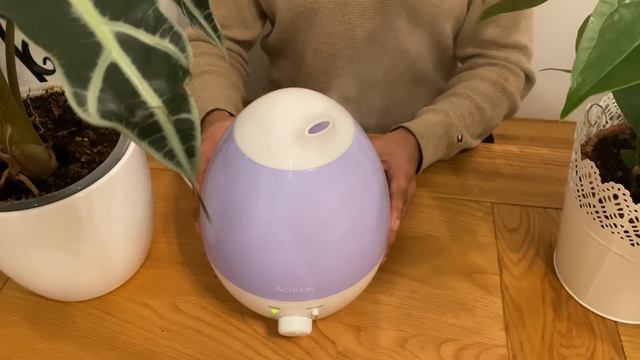 Looking for clean, fresh and moist air for your home? See our review of Aennon Cool Mist Humidifie смотреть онлайн