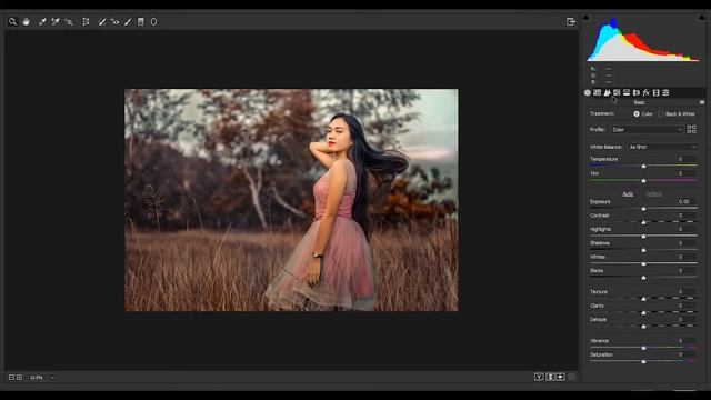 How to Edit Camera Raw Filter | Autumn Effect | Adobe PhotoShop CC |2020 смотреть онлайн