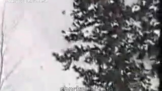 ВИДЕО ШОК!!! Слабонервным не смотреть!!! смотреть онлайн