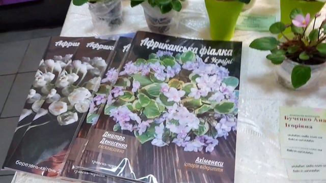 Выставка фиалок 27-30 мая 2021. Киев, Рогнединская 3. Киевский Городской Дом Природы смотреть онлайн