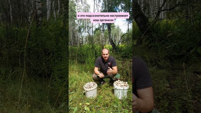 Как стать срокойнее и рассудительнее смотреть онлайн