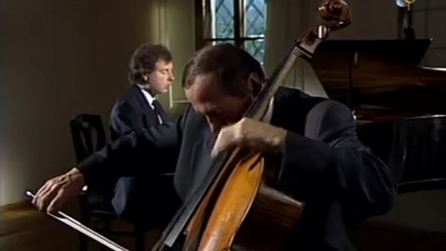 Schubert (Perenyi, Schiff) - Sonata en a minor Arpeggione D821.avi смотреть онлайн