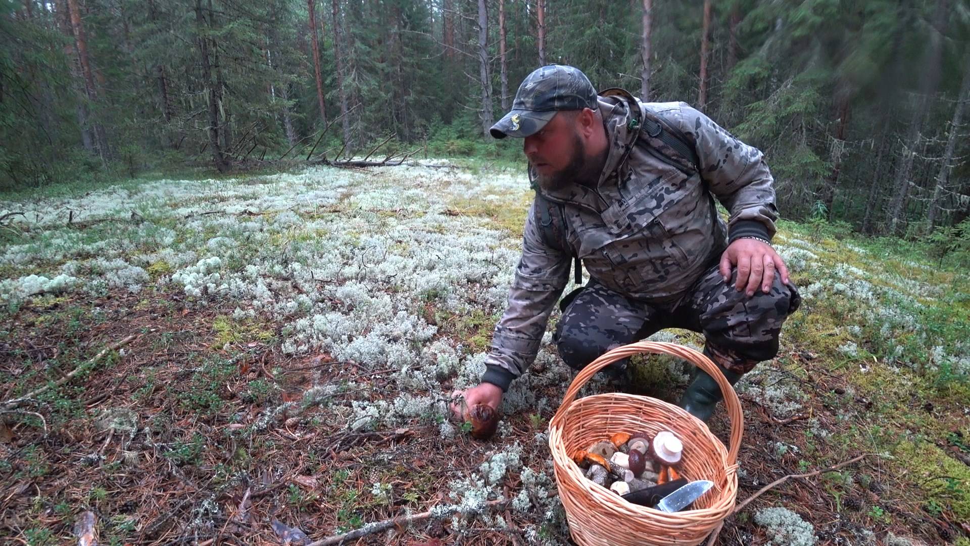 ПОСЛЕ ДОЖДЯ, В СВОИ ЛЮБИМЫЕ БОРЫ! СОБРАЛ КОРЗИНУ РАЗНЫХ ГРИБОВ \ СУМАСШЕДШИЙ ГРИБНОЙ СЕЗОН 2024! смотреть онлайн