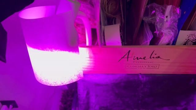 РУМТУР! нового места проживания? смотреть онлайн