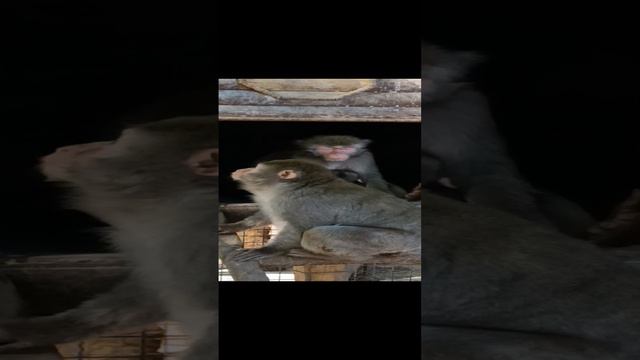 1000001277.mp4 смотреть онлайн