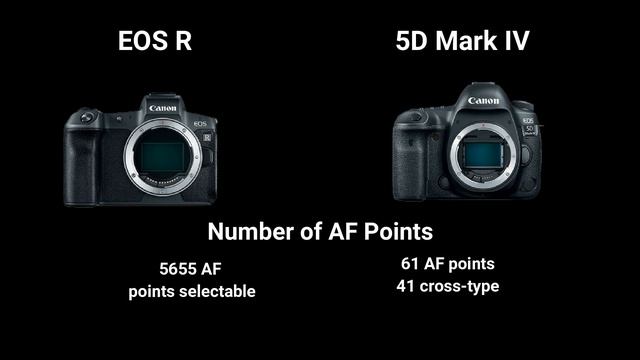 Canon EOS R Vs Canon 5D Mark IV