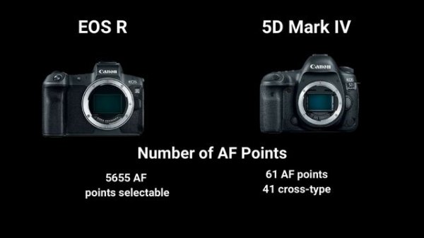 Canon EOS R vs Canon 5D Mark IV