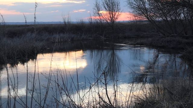 Берег Тихой Сосны смотреть онлайн