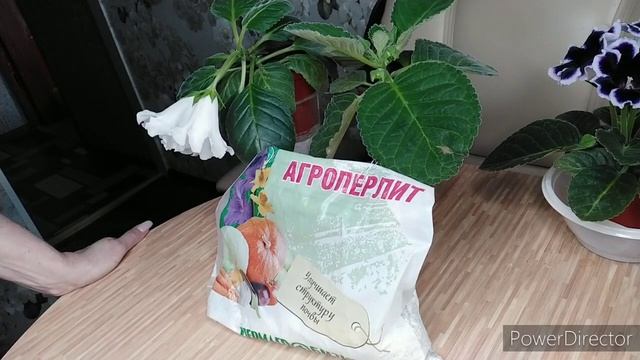 ГРУНТ ДЛЯ ГЛОКСИНИИ смотреть онлайн