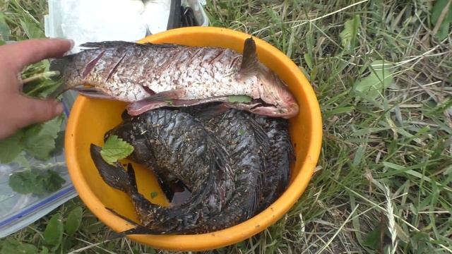 Психология и Развитие