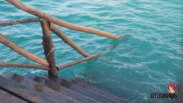 Как я потеряла невинность, айфон и разбила машину на рыбалке. Истории и рассказы из жизни людей. смотреть онлайн