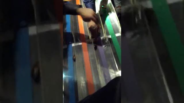 Бегут Африканские... тараканы смотреть онлайн