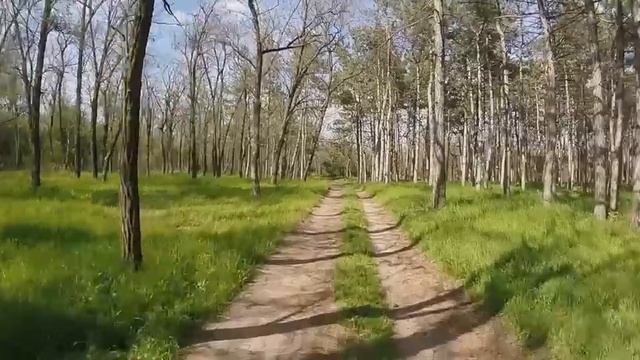Melitopol Мелитополь (лесопарк, Сосновка, каменная могила) смотреть онлайн