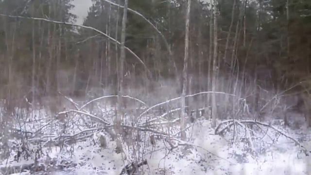 Памятные минуты ОСЕННЕЙ ОХОТЫ с ГОНЧИМИ (2) смотреть онлайн