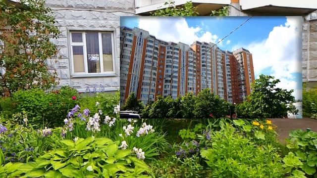 Москва. Район КОЖУХОВО. Обзор района