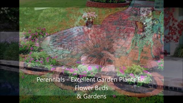 Landscaping Plants For Sale смотреть онлайн