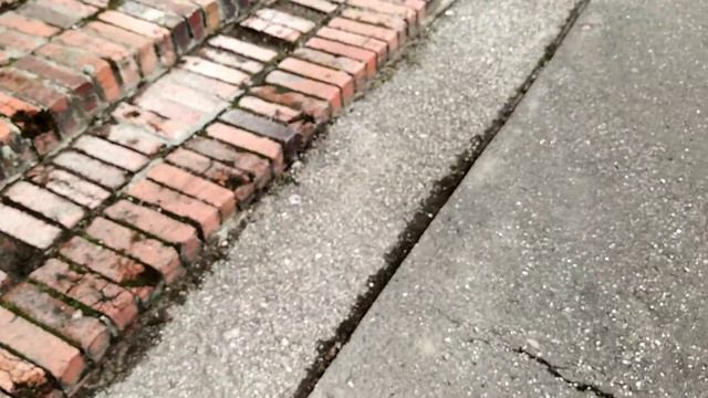 ВАРШАВА. Вилановский парк. Оранжерея. смотреть онлайн