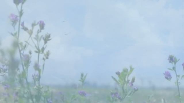 Origen - Dance Of The Clouds смотреть онлайн