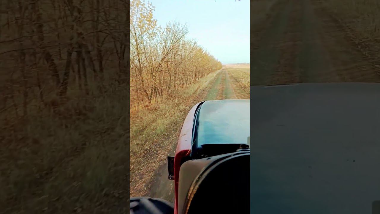 6 октября 2023 г. смотреть онлайн