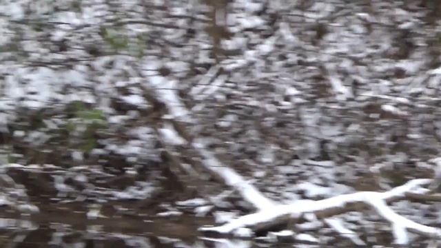 Рыбалка с Ленкой. Прогулка на лодке. смотреть онлайн