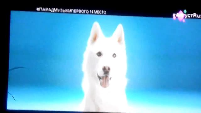 Настоящая музыка смотреть онлайн