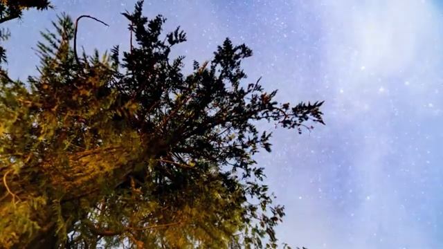 БОРЬБА С БЕССОННИЦЕЙ. ПРЕКРАСНАЯ МУЗЫКА ДЛЯ БОРЬБЫ С БЕССОННИЦЕЙ. НОЧНОЕ НЕБО. смотреть онлайн