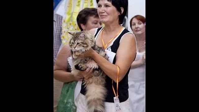 Поздравления для Ирины Вдовиной!!! смотреть онлайн
