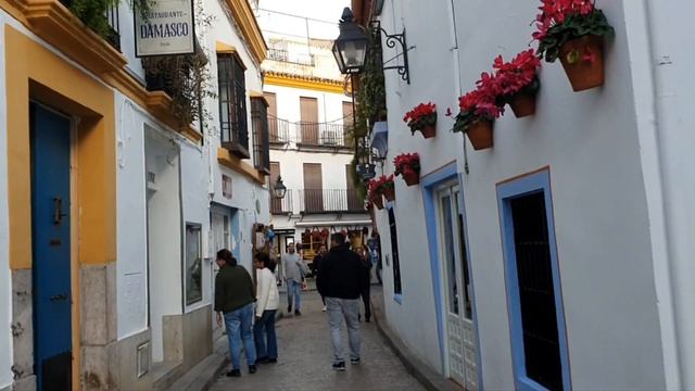 Вечерняя прогулка по Кордобе#мояжизнь #испания #жизнь #прогулка #выходные #семья #интересно #город