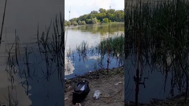 рыбалка на реке ДОН воронежская обл. смотреть онлайн