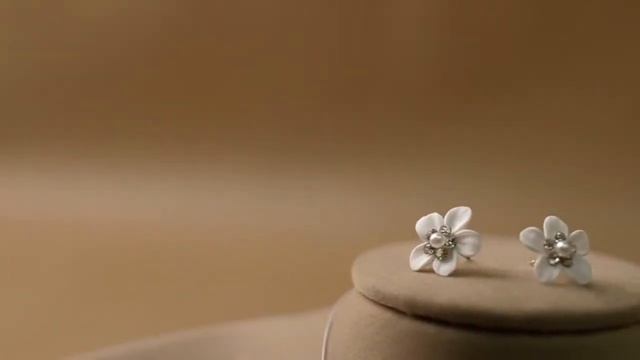 Свадебная бижутерия смотреть онлайн