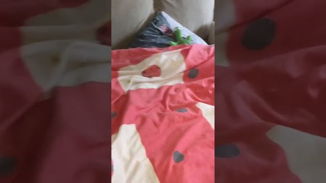 прикол, зона, шконка смотреть онлайн