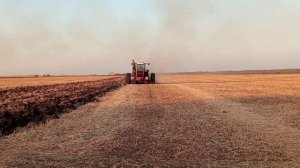 ?✅⛔ГЛУБОКОЕ РЫХЛЕНИЕ ЧИЗЕЛЕМ ПЧ-4. 5| ТРАКТОР BUHLER 2375?✅⛔