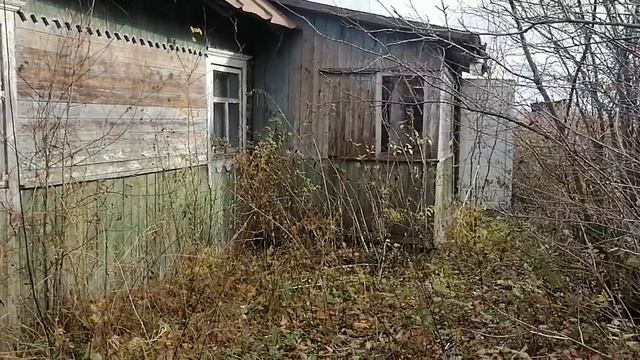 ОБЗОР ДОМА, УЧАСТОК 25СОТОК, ХОЗПОСТРОИКИ, ЦЕНА 2500$?. ИСКАЛИ ДОМ КУПИЛИ ДВЕ ОВЦЫ ?? смотреть онлайн