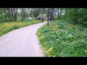 Дорога с работы