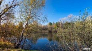 Аудио диктант "Русский лес" (4 класс).