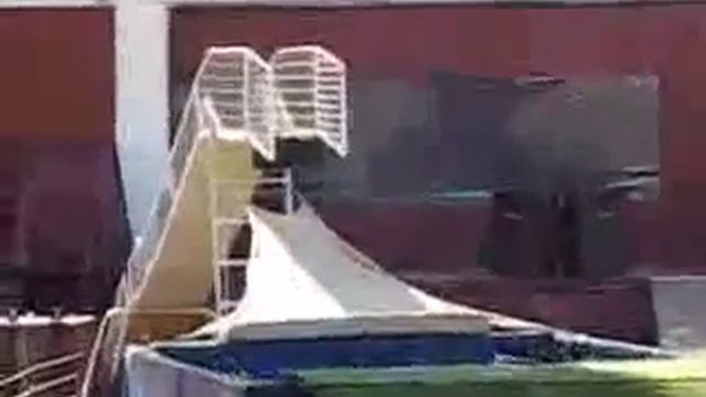 Свинки прыгают в воду бобочкой)