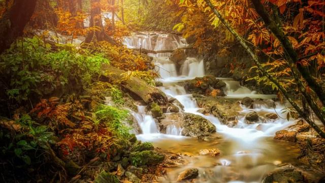 Музыка для сна. Релакс. Спокойная смена кадров. 3 часа. Природа. смотреть онлайн