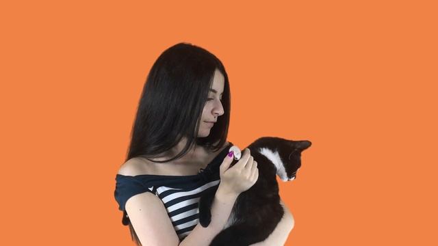 Кошачьи лапки смотреть онлайн