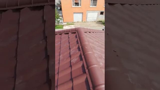 Краснодар ул Новосибирская 89183906000 смотреть онлайн