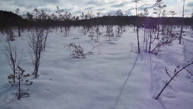 Вездеходы на болоте смотреть онлайн