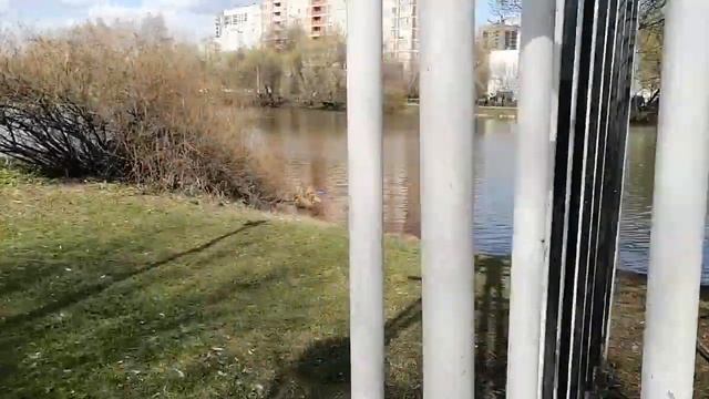 Люберцы. Парк смотреть онлайн