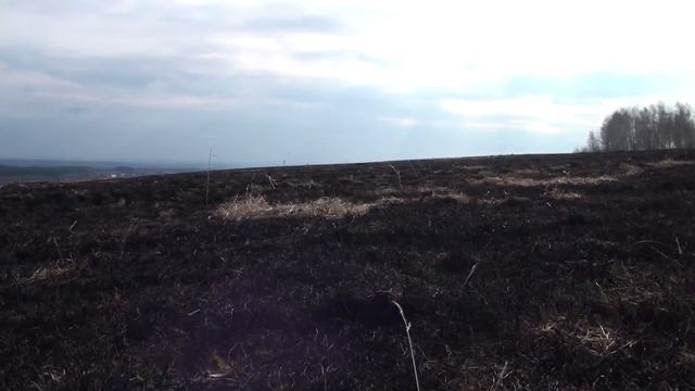 Земля тревоги нашей смотреть онлайн