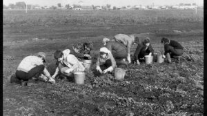 Владимир  Высоцкий  "Товарищи ученые"