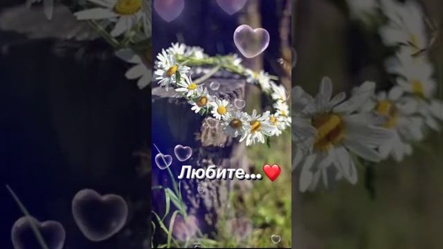 С днем семьи, любви и верности смотреть онлайн