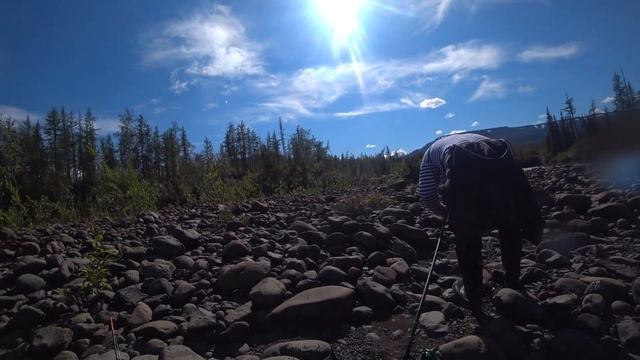 Крупный хариус, озеро Глубокое смотреть онлайн