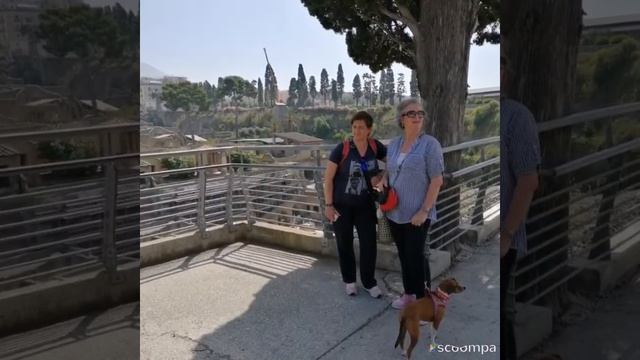Ercolano scavi I^Parte 2019 смотреть онлайн